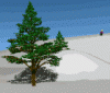 Animations - 043